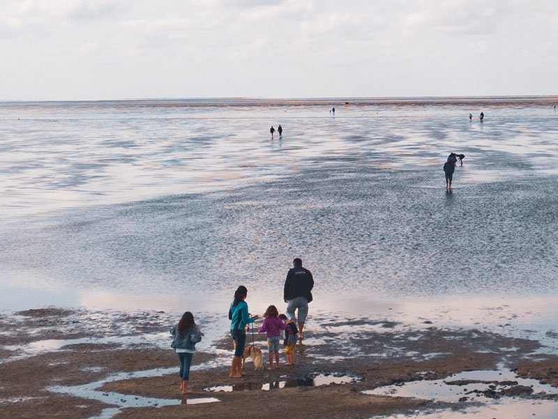 Ferienwohnung direkt am Nordseedeich