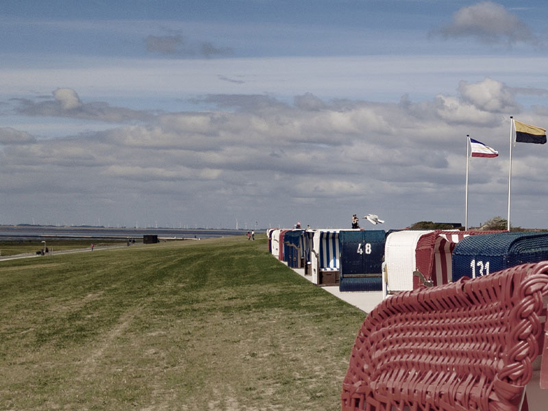 Ferienwohnung direkt am Nordseedeich